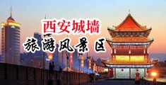 骚屄的女人中国陕西-西安城墙旅游风景区